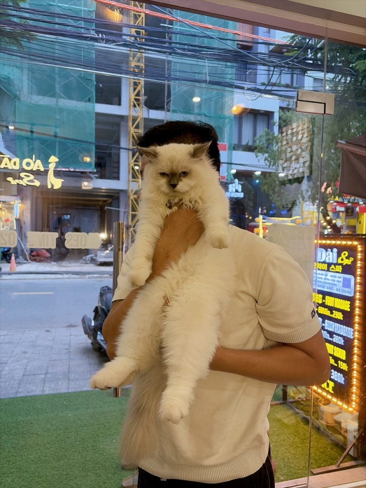  아오자이 스파