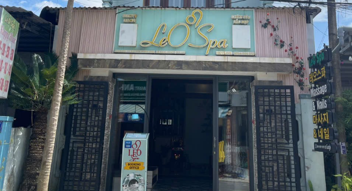  레오 스파
