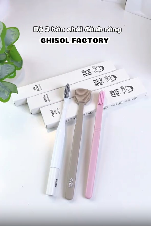(•𝙷𝚎𝚕𝚕𝚘 𝙽𝚑𝚞𝚗𝚐 𝙳𝚊𝚢• _CHISOL FACTORY) Bộ 3 bàn chải đánh răng Chisol Factory đến nhà BRAND UNIVERSE .